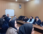کارگاه مدیریت فرآیند دارویی