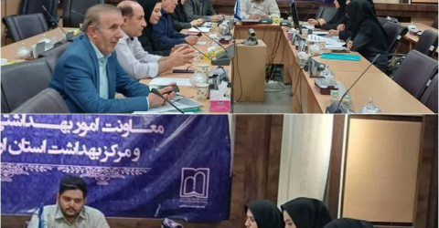 بررسی مشکلات، کمبودها و مسائل مربوط به ساختار تشکیلات بیمارستان بوعلی اردبیل